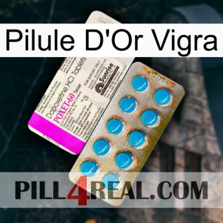 Vigra Gold Pill new07